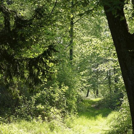 A L'Oree Du Bois Ξενοδοχείο Futeau Εξωτερικό φωτογραφία